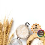 Craft & Hobby Dough Cookbook by Dr Mary R Boyd Edition 169 Pages-0